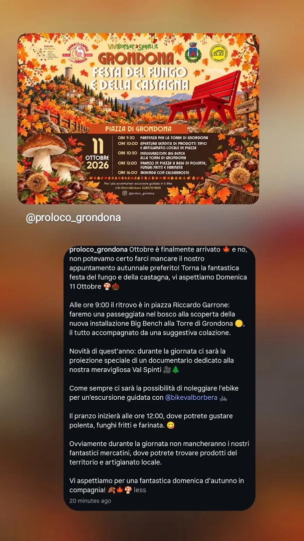 Locandina Festa del Fungo e della Castagna 2026
