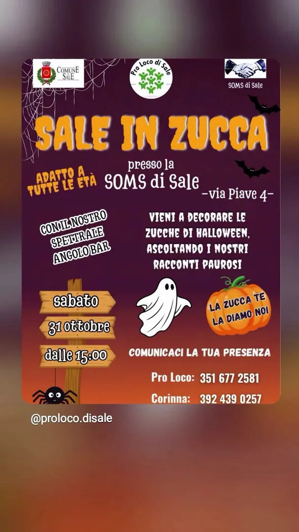 Locandina Sale in Zucca - Pro Loco di Sale