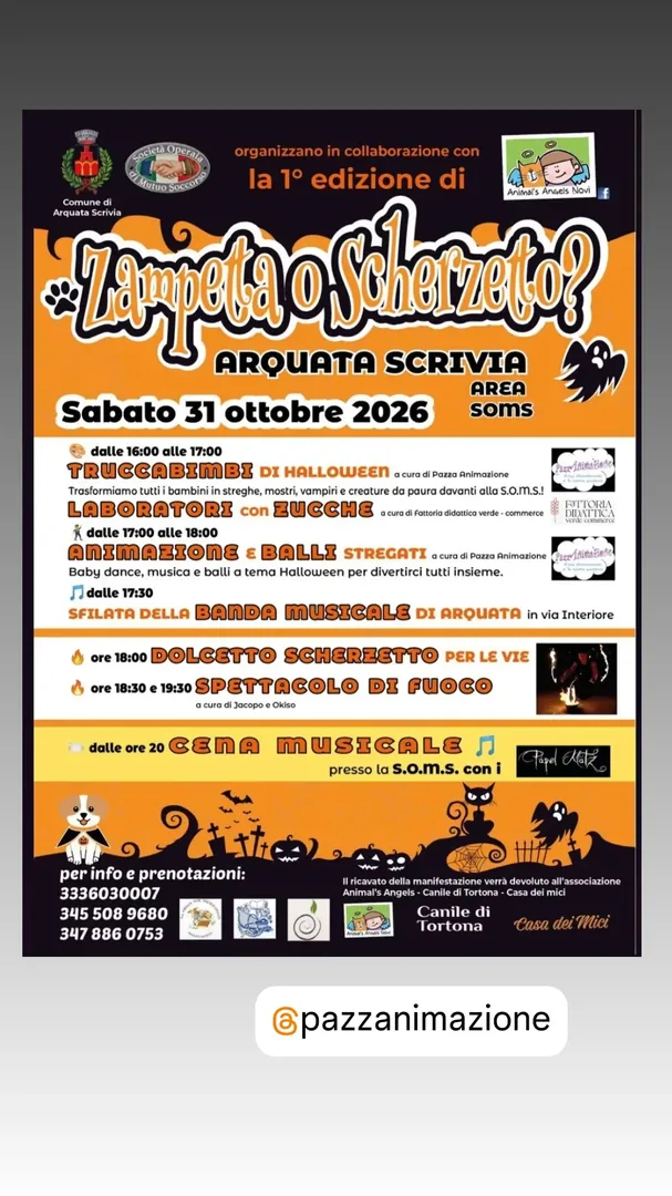Locandina Zampeta o Scherzeto? 1ª edizione