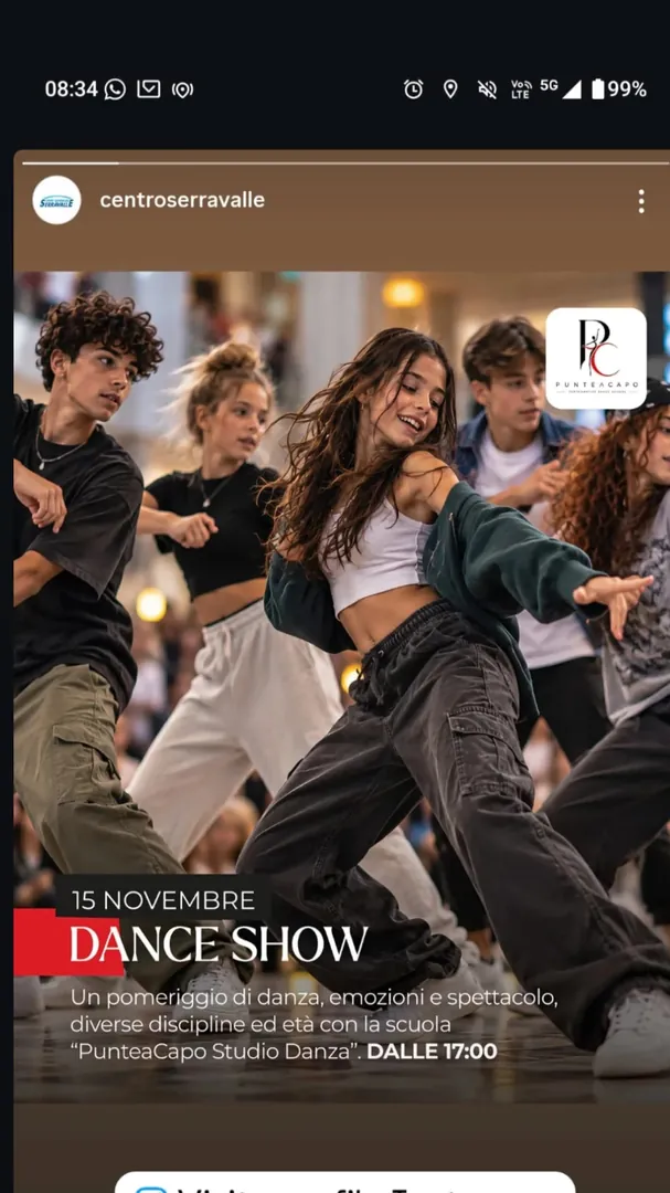 Locandina Dance Show - PunteaCapo Studio Danza
