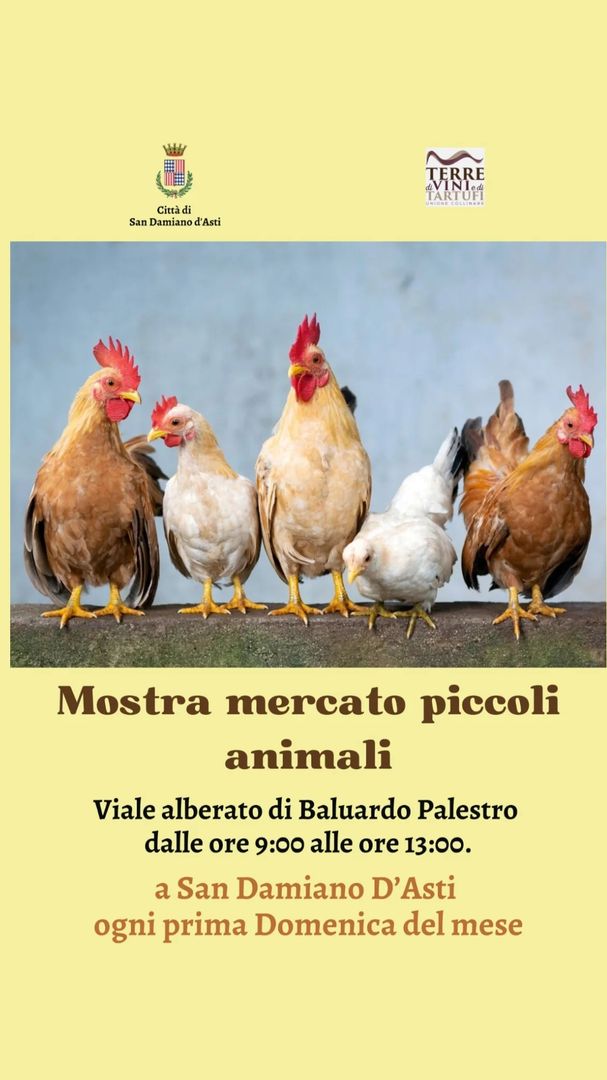 Locandina Mostra mercato piccoli animali - Città di San Damiano d'Asti