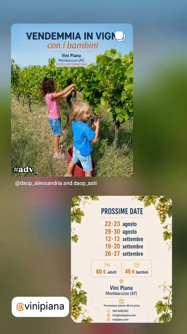 Locandina Vendemmia in Vigna con i Bambini - Vini Piana