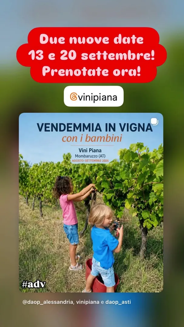 Locandina Vendemmia in Vigna con i Bambini - Vini Piana