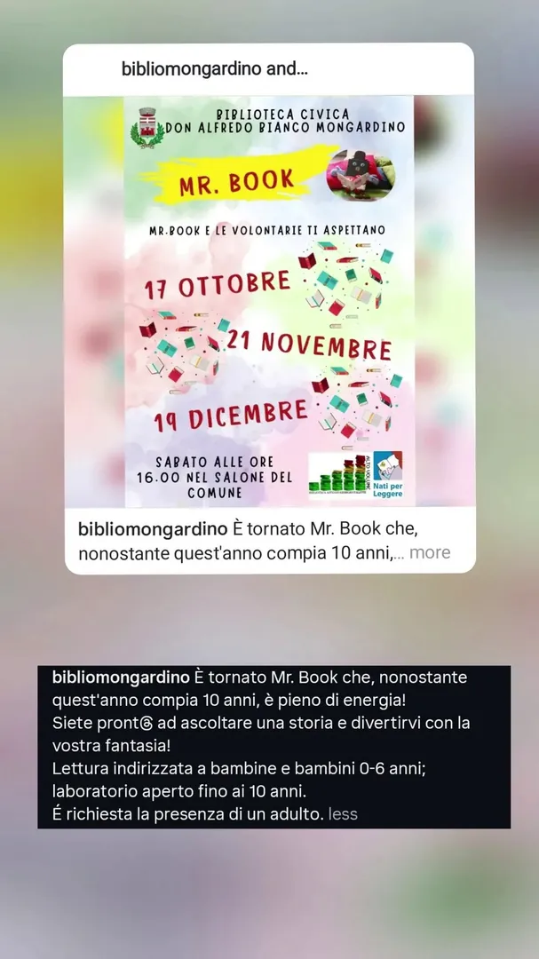 Locandina Mr. Book - Biblioteca Civica Don Alfredo Bianco Mongardino