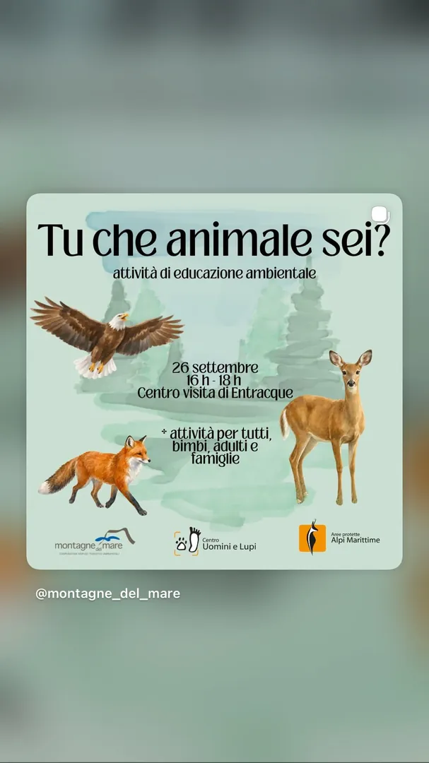 Locandina Tu che animale sei? - Montagne del Mare
