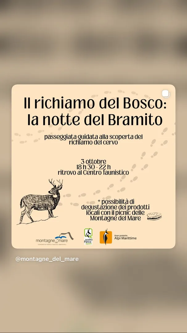 Locandina Il richiamo del Bosco: la notte del Bramito - Montagne del Mare