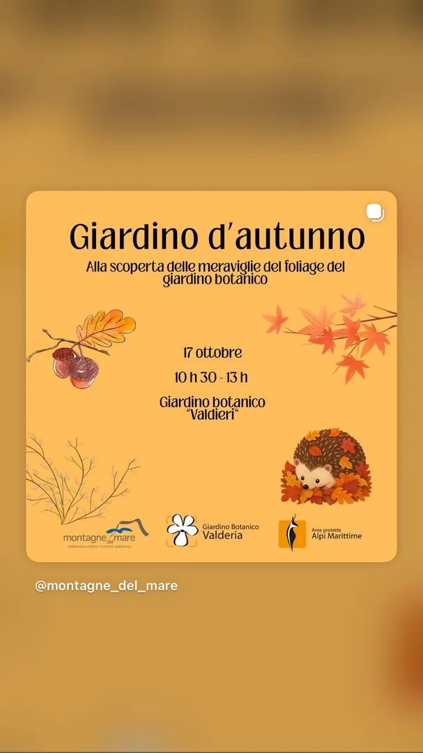 Locandina Giardino d'autunno - Montagne del Mare