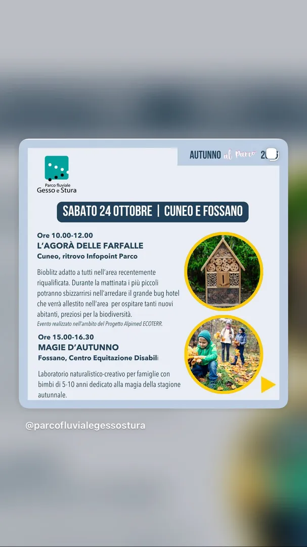 Locandina L'Agorà delle Farfalle - Parco fluviale Gesso e Stura