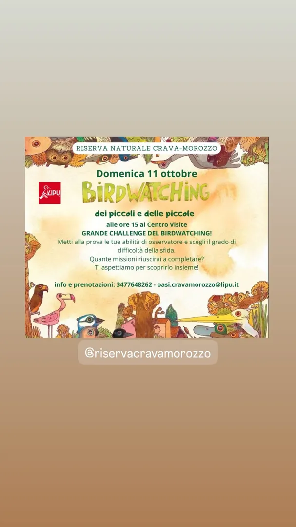 Locandina Birdwatching dei piccoli e delle piccole - LIPU