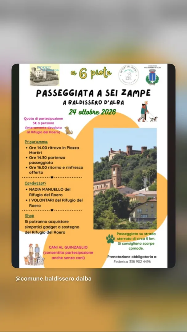 Locandina Passeggiata a Sei Zampe