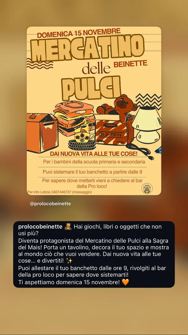 Locandina Mercatino delle Pulci - Pro Loco Beinette