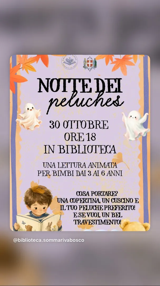 Locandina Notte dei Peluches