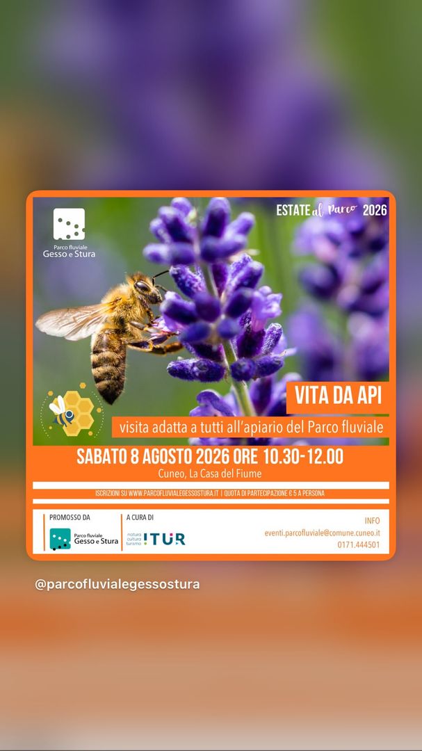 Locandina Vita da Api - Parco fluviale Gesso e Stura