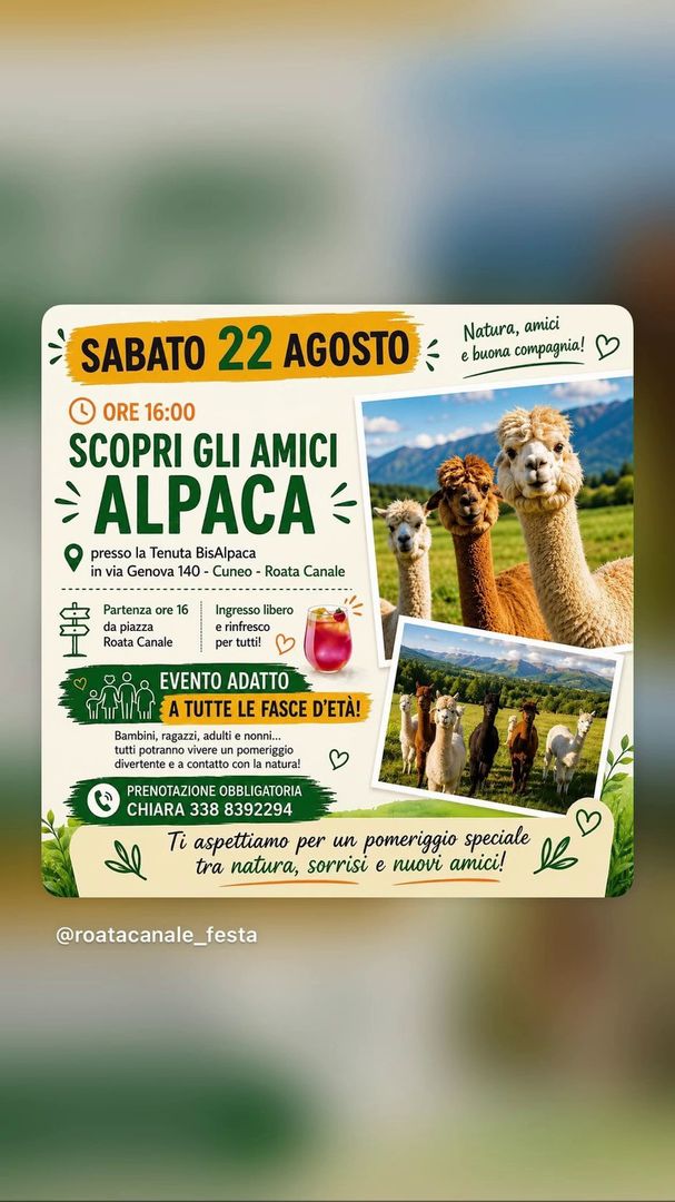 Locandina Scopri gli Amici Alpaca