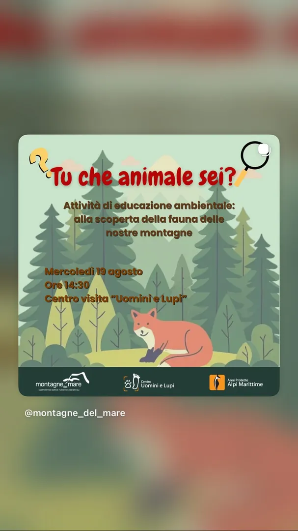 Locandina Tu che animale sei? - Montagne del Mare