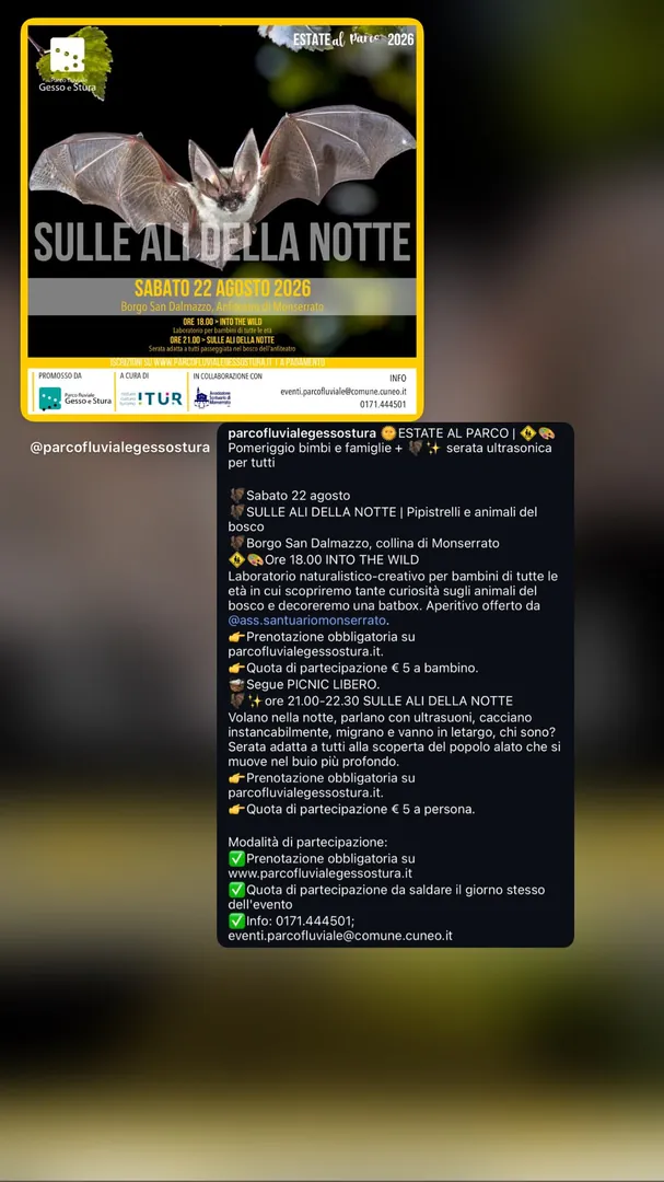 Locandina Sulle Ali della Notte